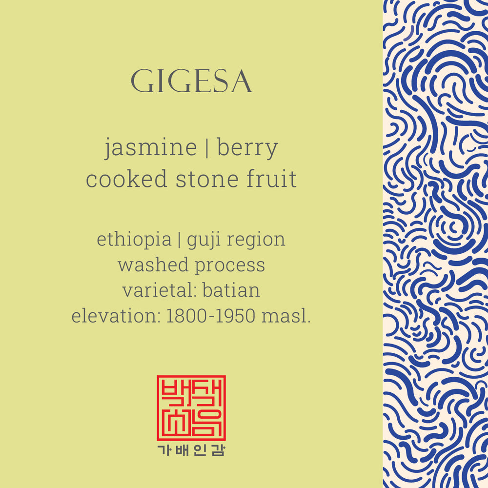 GIGESA | ETHIOPIA • GUJI REGION